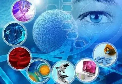 生物科學與生命科學的區別(二) 聚焦生物技術研究與開發