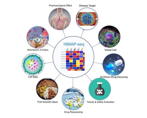 王棟、鄧赟與許俊泉團(tuán)隊(duì)開發(fā)HiMAP-seq新技術(shù)并構(gòu)建三億量級(jí)藥物基因表達(dá)數(shù)據(jù)庫CIGS，引領(lǐng)生物技術(shù)新前沿