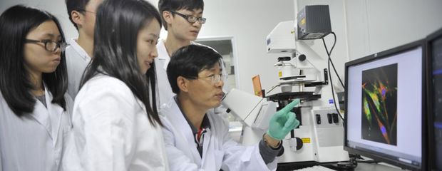 凍干大“肌”遇丨《凍干簡(jiǎn)史》白皮書① 生物技術(shù)研究與開(kāi)發(fā)